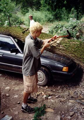 Markus sawing on tree