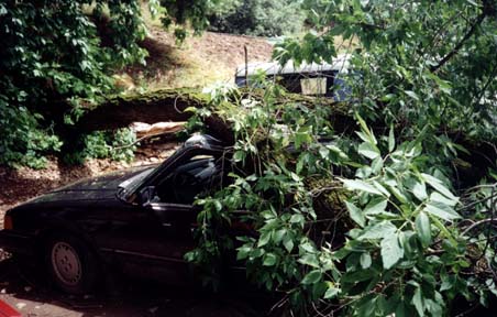 Car left wide view