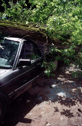 Car left side view before cutting by trunk, broken glass