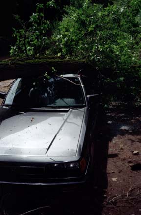 Car front view