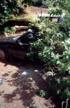 Car left view with broken glass