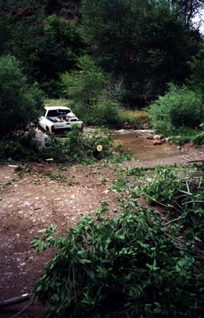 Truck pulling away tree